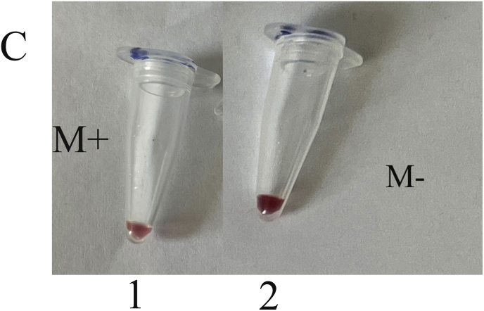 Figure 12