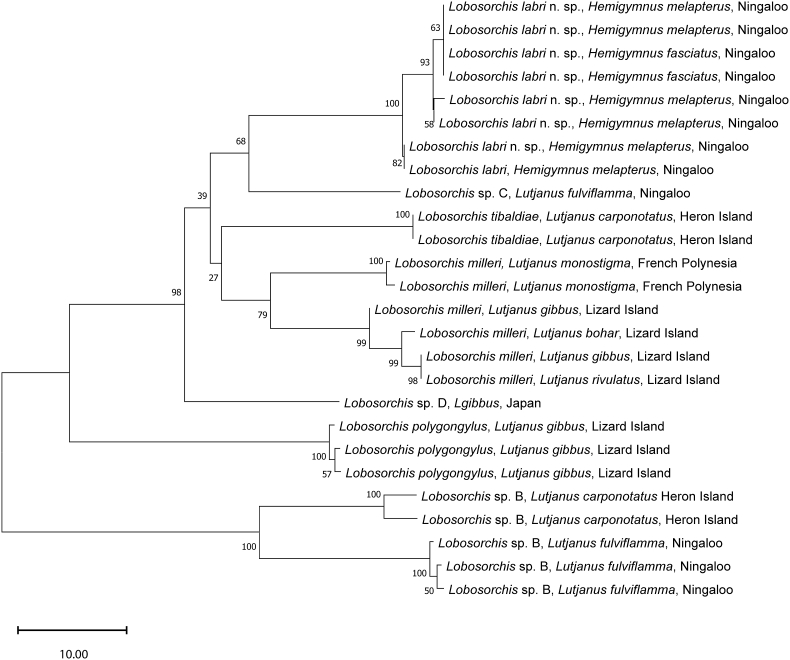 Figure 2
