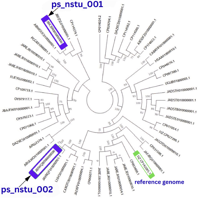 Figure 5