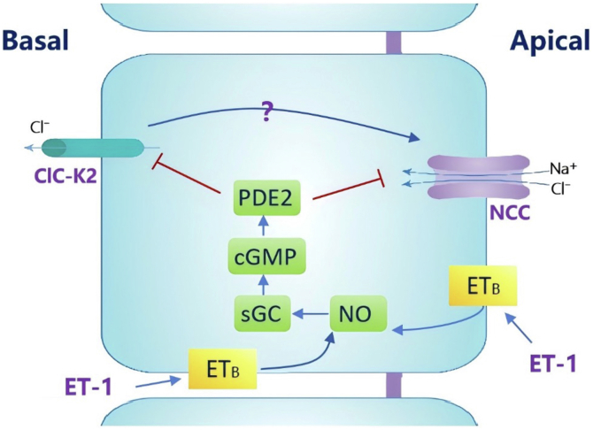 Figure 9