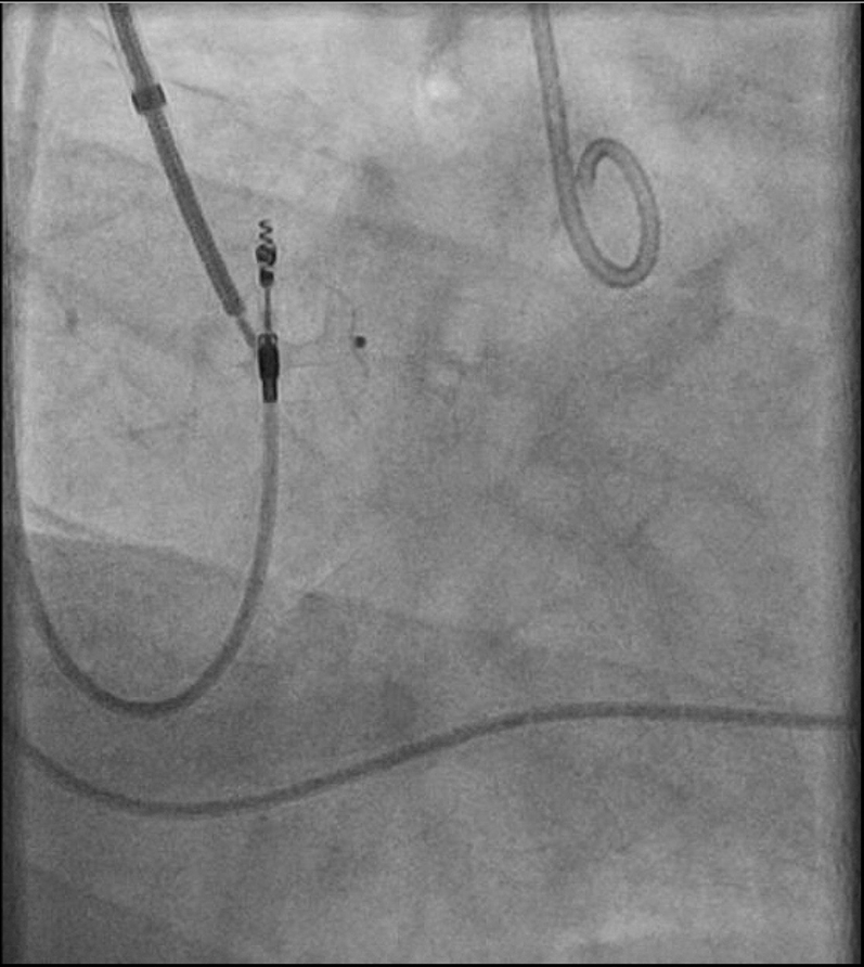 Figure 8