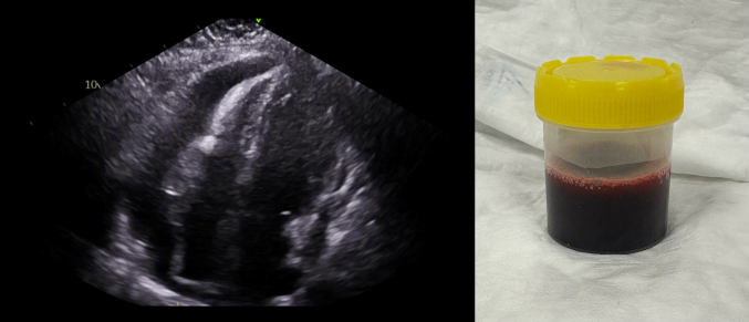 Figure 8