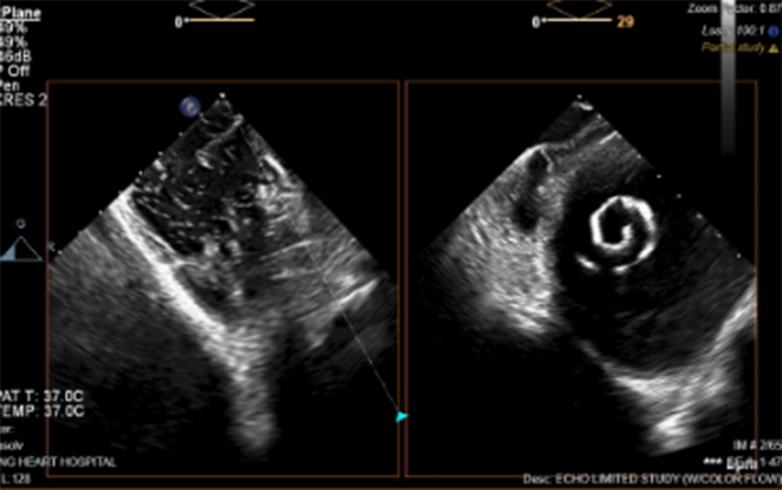 Figure 6