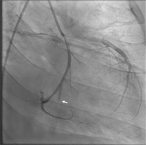 Figure 7