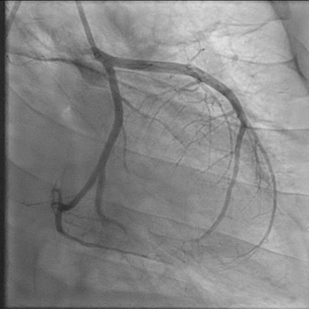 Figure 8