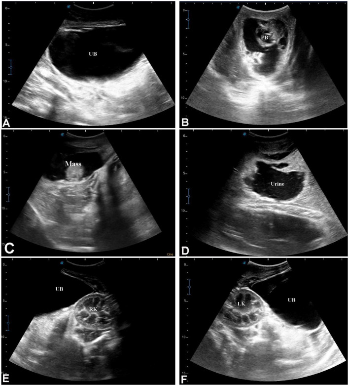 Figure 15