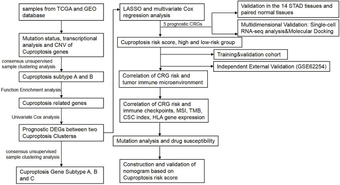 FIGURE 1
