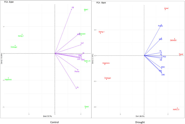 Figure 4