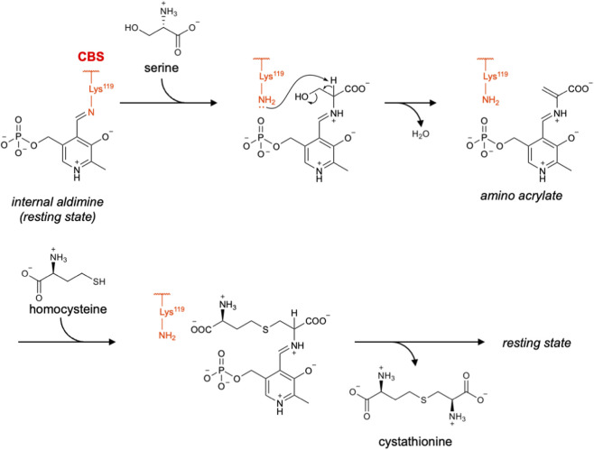 FIGURE 3