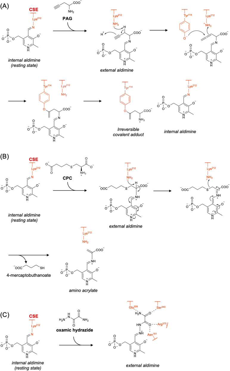 FIGURE 6