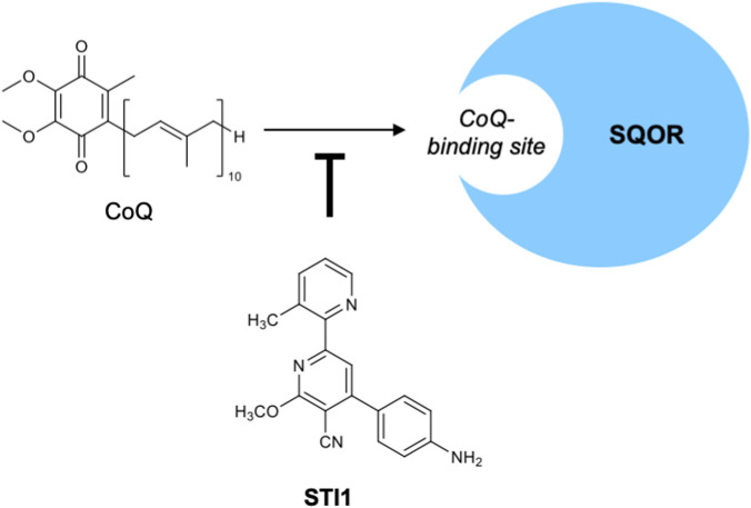 FIGURE 10