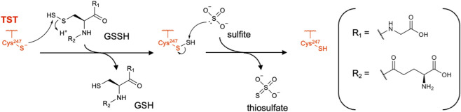 FIGURE 13