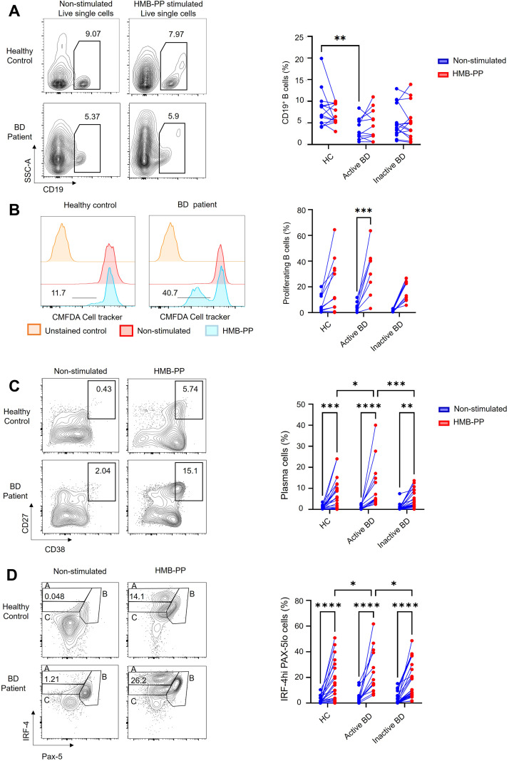 Figure 6
