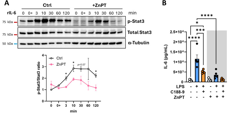 Figure 5