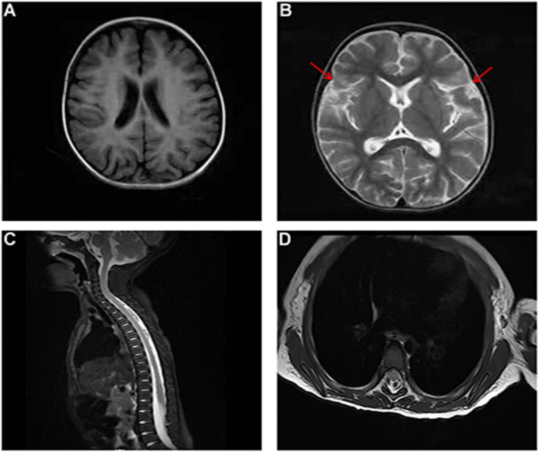 Figure 1