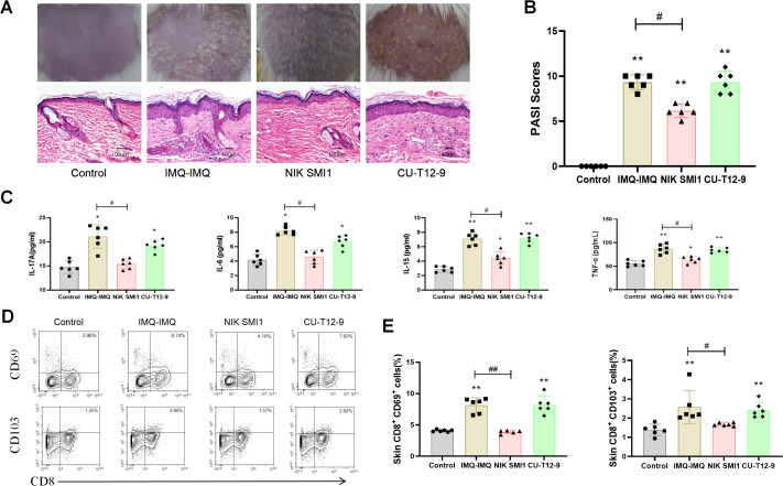 Figure 6