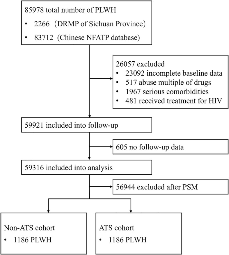 Figure 1