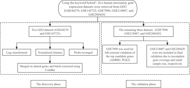 Figure 1