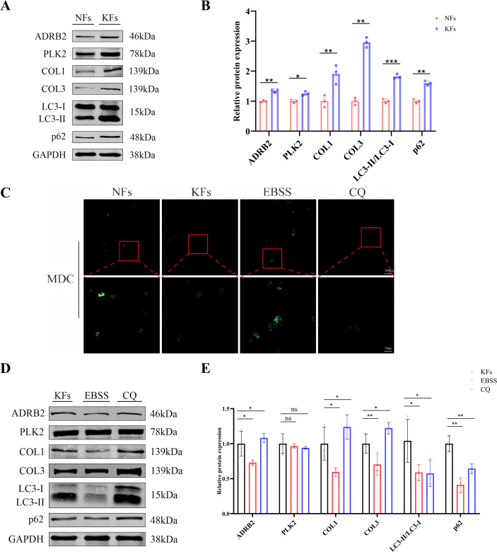 Figure 6