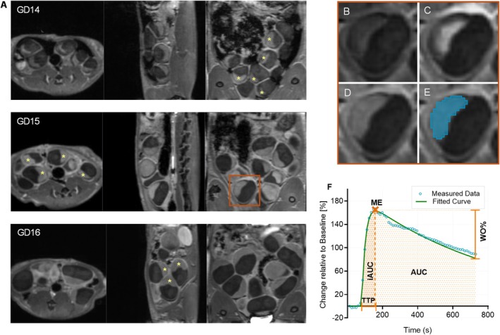 FIGURE 2
