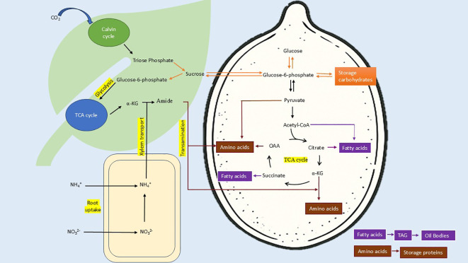 Figure 10