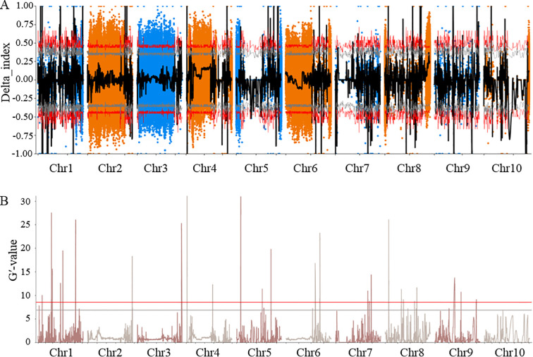 Figure 2