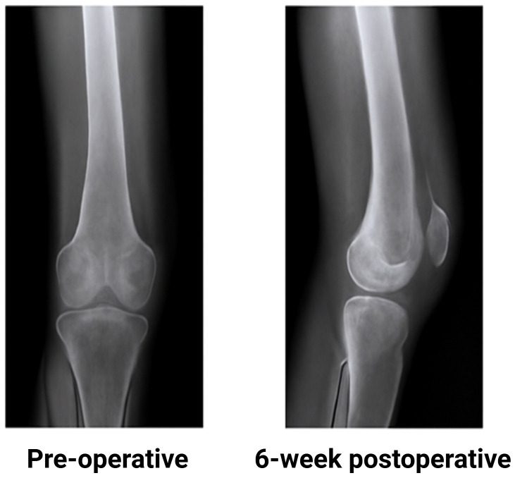 Figure 5