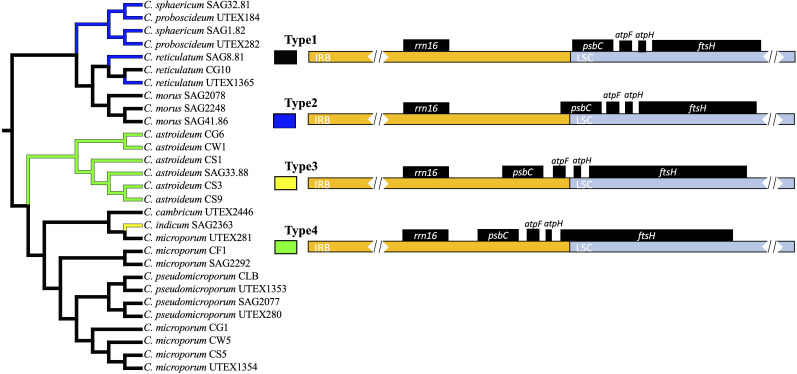 Figure 2