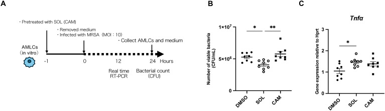 Figure 5