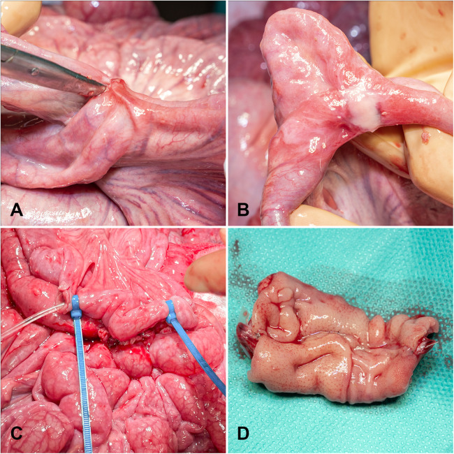 Figure 2