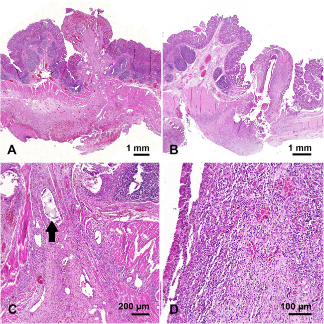 Figure 4