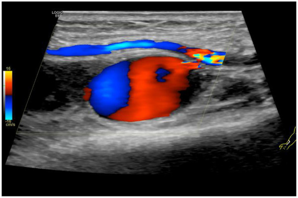 Figure 1