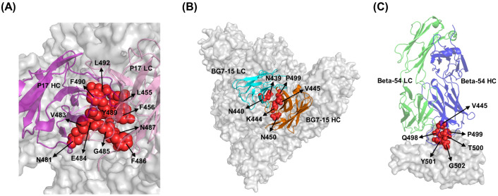 Figure 3