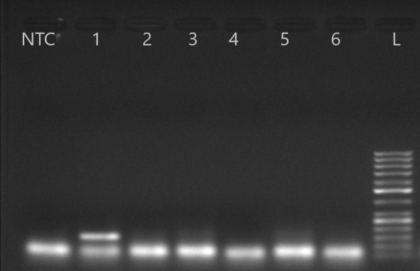 Figure 3