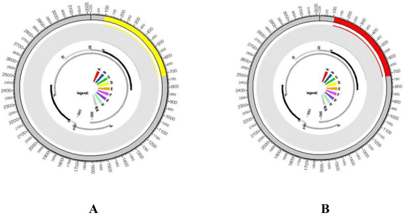 Figure 5