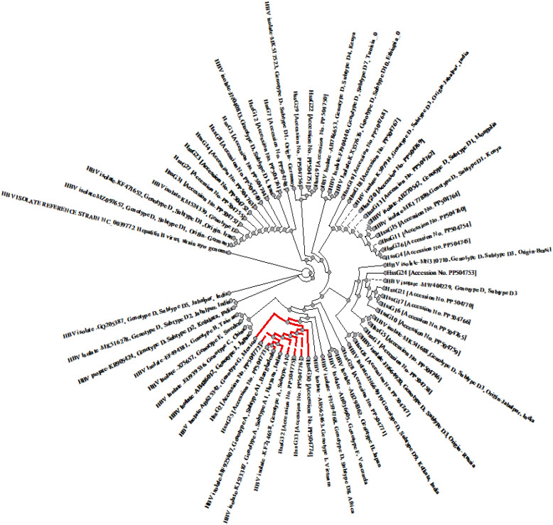 Figure 6