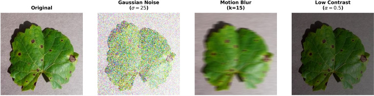 Figure 7