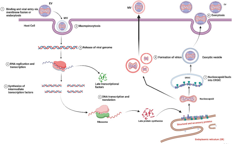 Figure 4