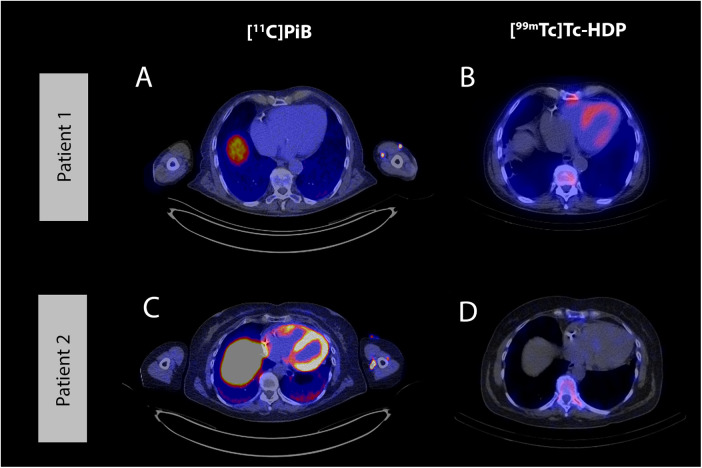 Figure 1