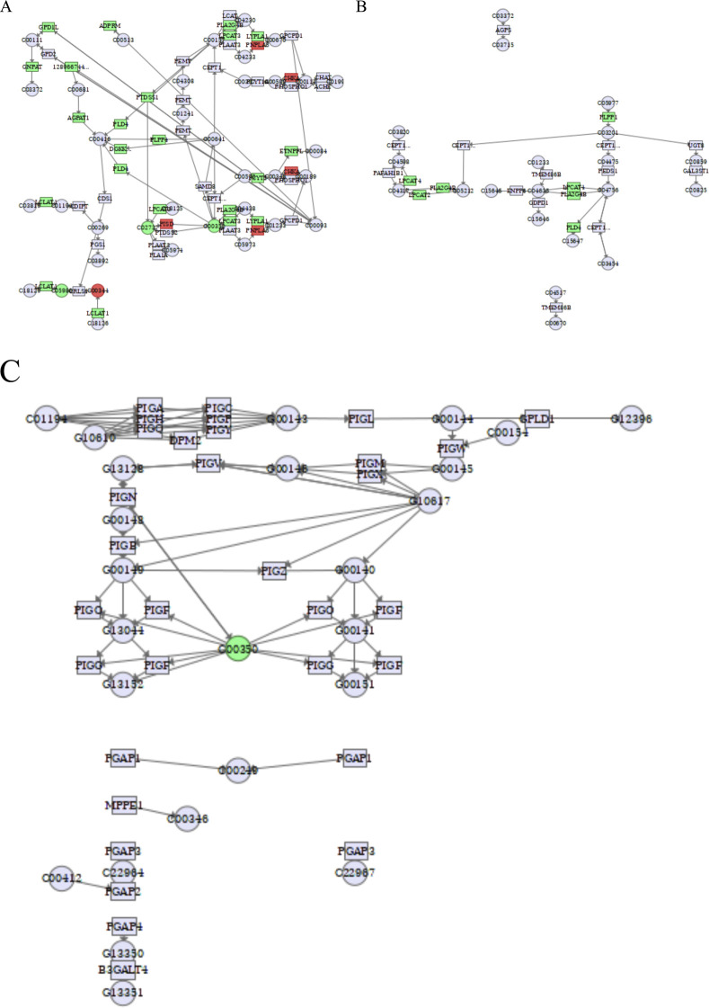 FIGURE 10