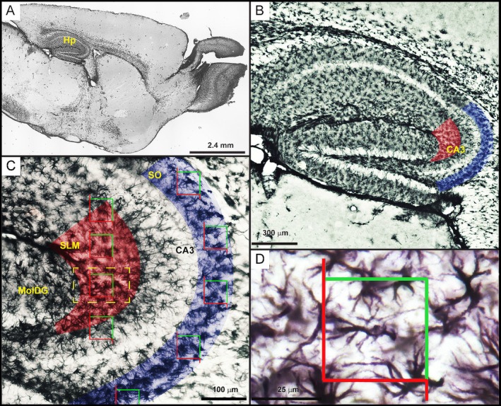 FIGURE 2