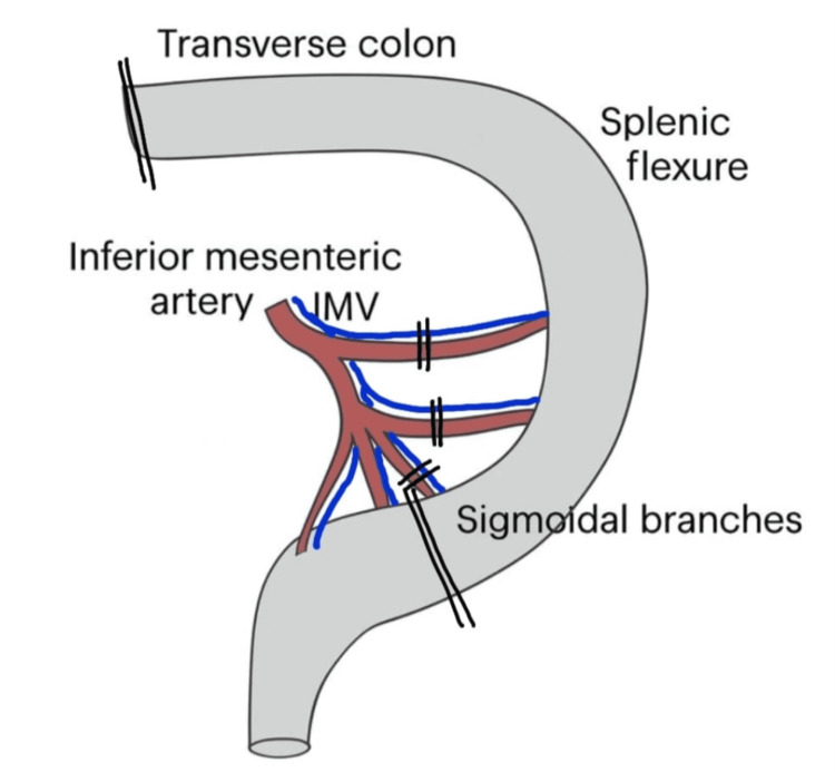 Figure 8