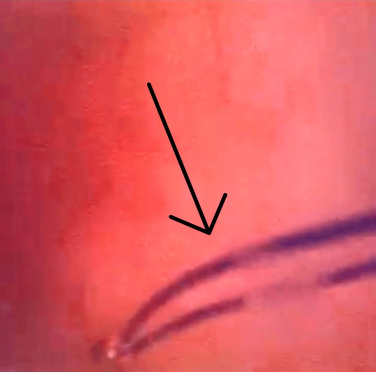 Figure 8
