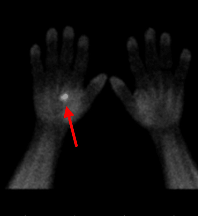 Figure 7
