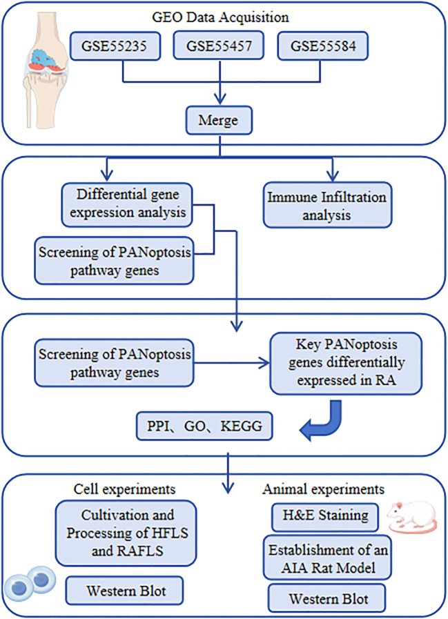 Figure 1