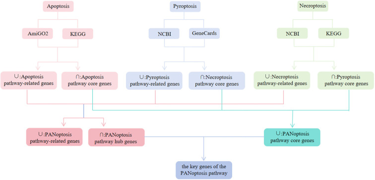 Figure 2