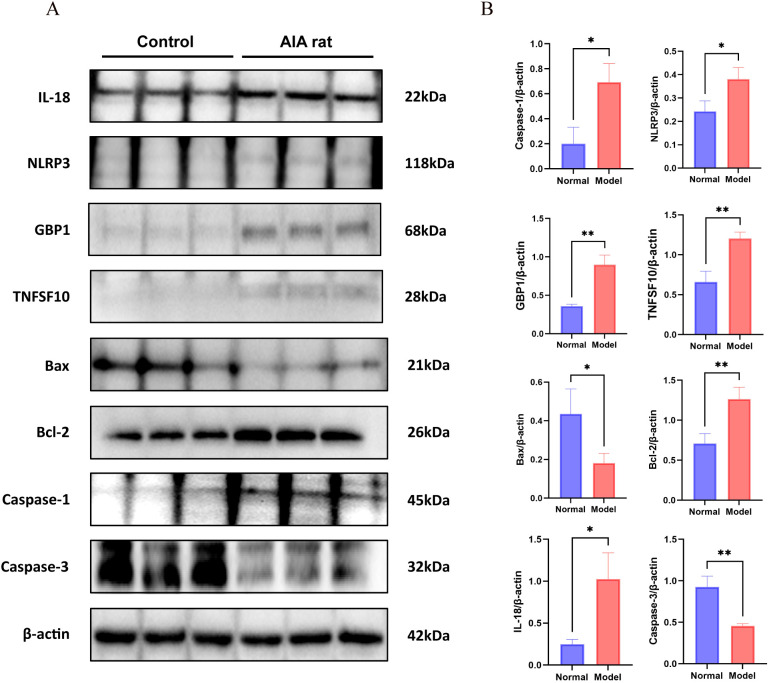 Figure 10