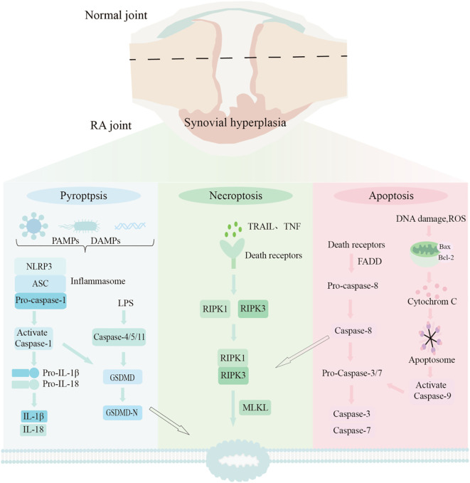 Figure 11