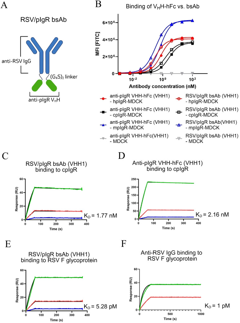 Figure 3