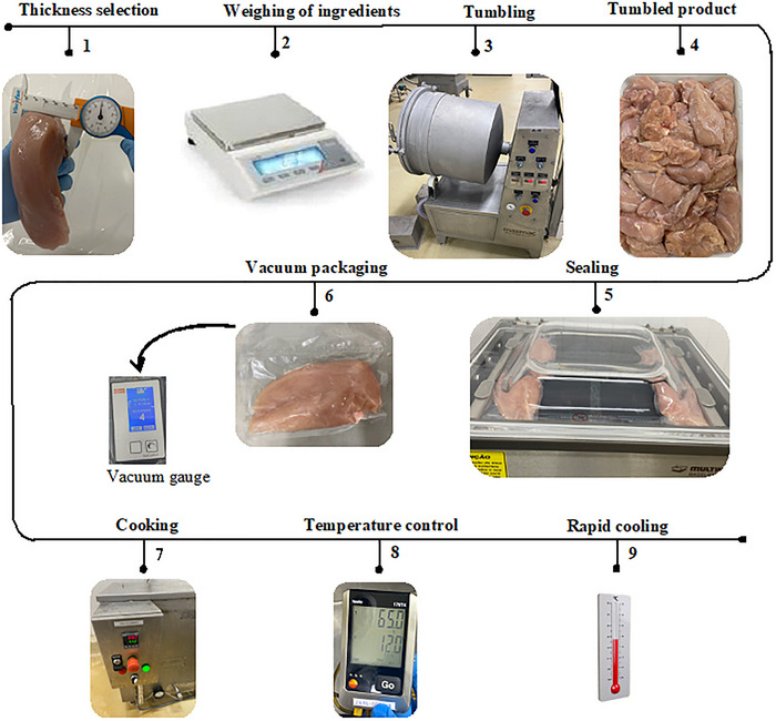 FIGURE 1